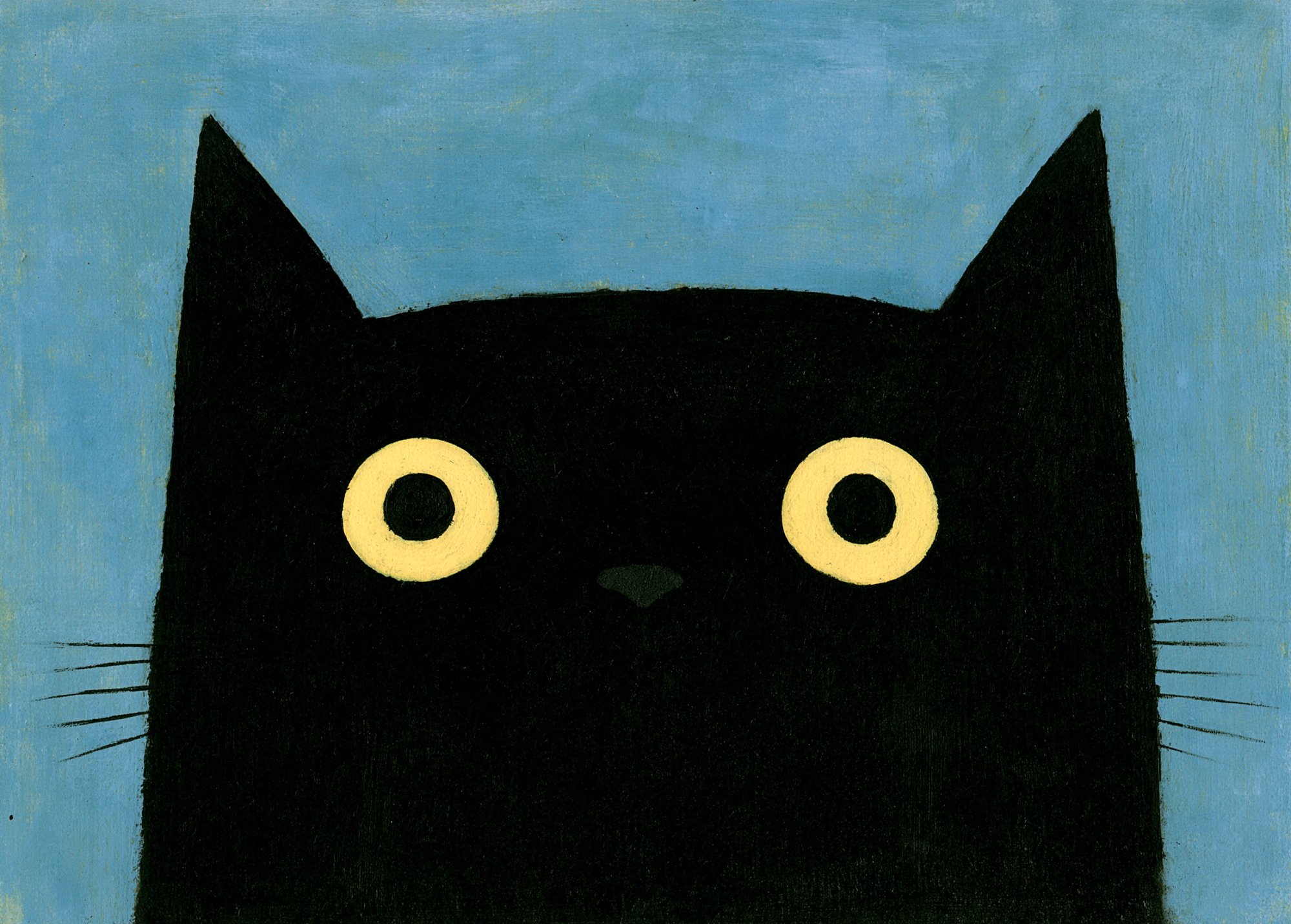 Poster med motivet Fascinerande Katt