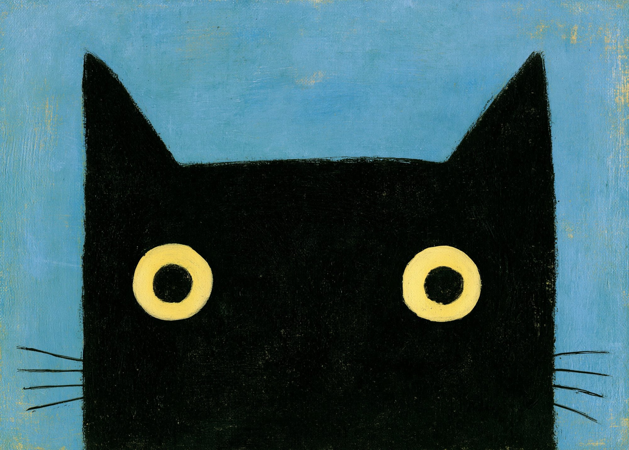 Poster med motivet Nyfiken katt
