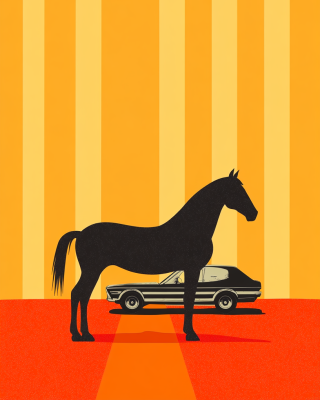 Häst möter bil
