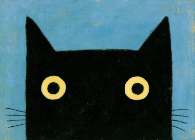 Nyfiken katt